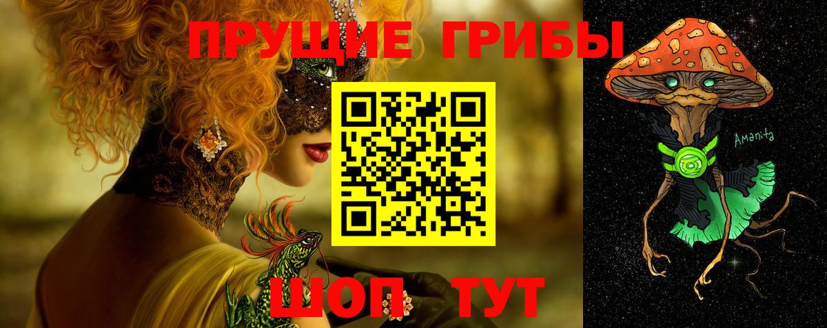 Псилоцибиновые грибы прущие грибы  Вход с VPN  наркошоп  Ессентуки 